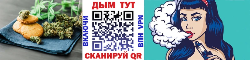 мега онион  Александровское  Cannafood марихуана 
