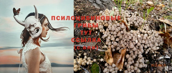 гидропоника Липки