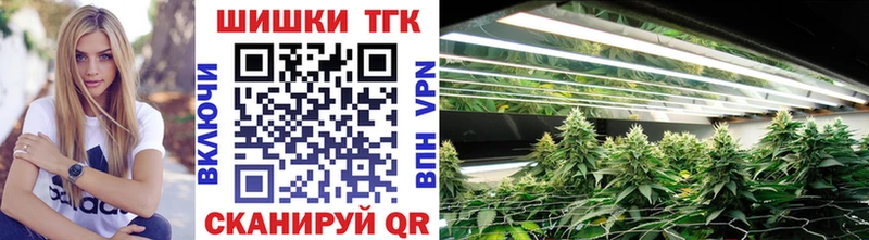 Бошки Шишки SATIVA & INDICA  купить наркотик  Александровское 